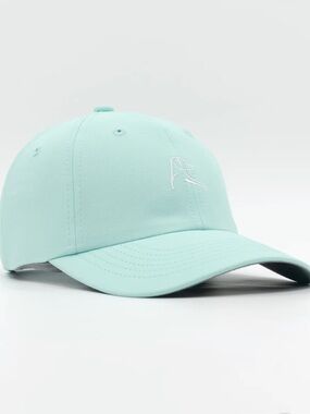 Aqua Rhoback Hat